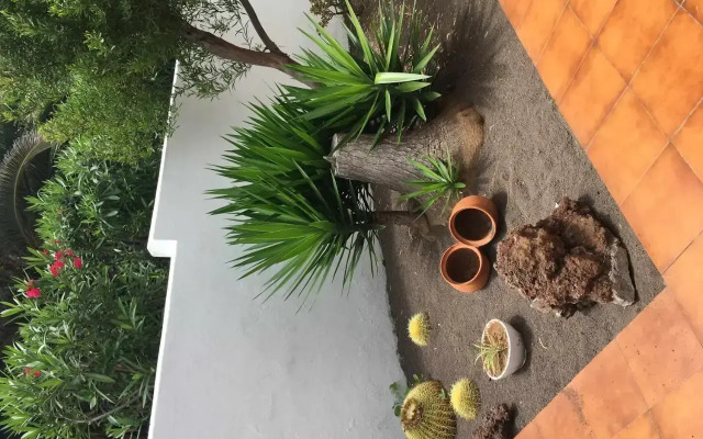 Apartamento con jardín y piscina B