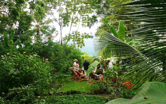 Zopango Orchids Island