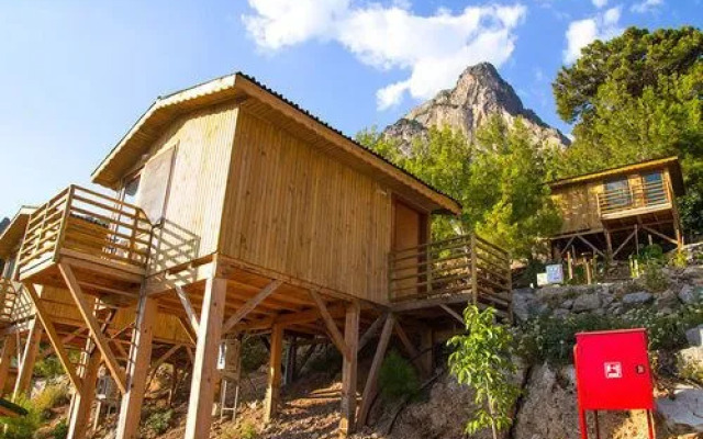 Tree Houses