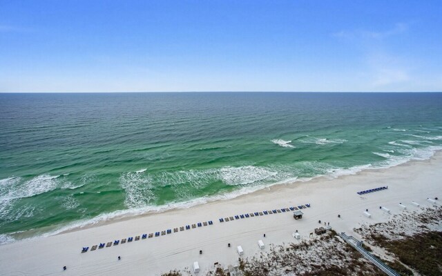 Twin Palms 1902 - 958107