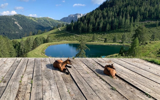 Chalets und Apartments Hauserhof