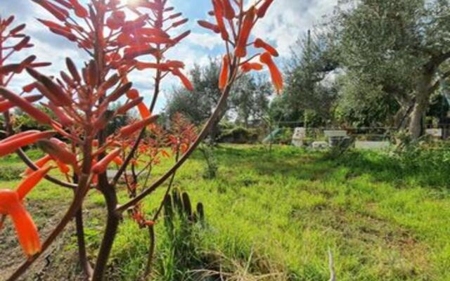 Green House between Etna and the sea