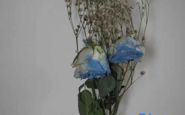 Zhen'an Wanyuan Hotel