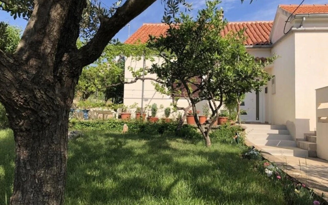 Ružica - 50m From the sea - A1-ruža