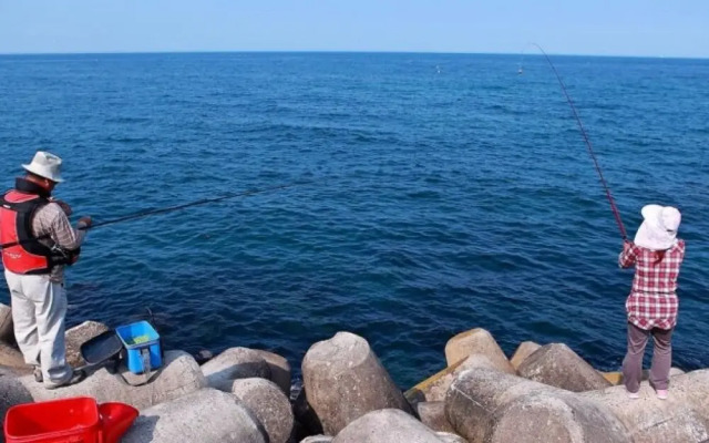 Yeongdeok Gaemitongkku Pension