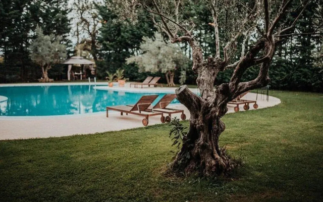 Villa Lav