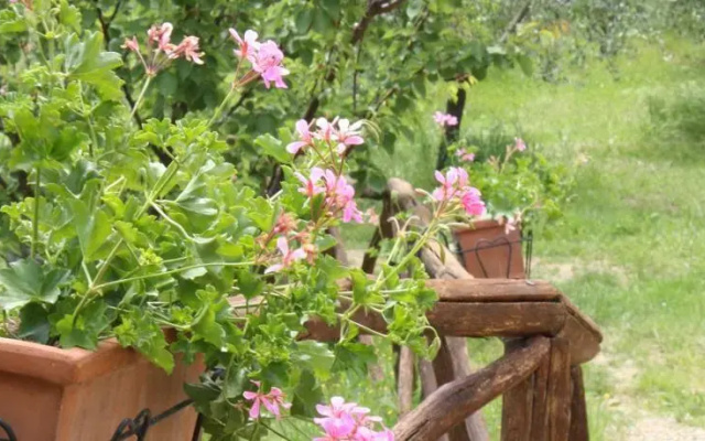 Agriturismo La Ragnaia
