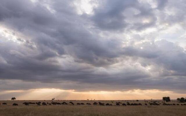 Losokwan Luxury Tented Camp - Maasai Mara