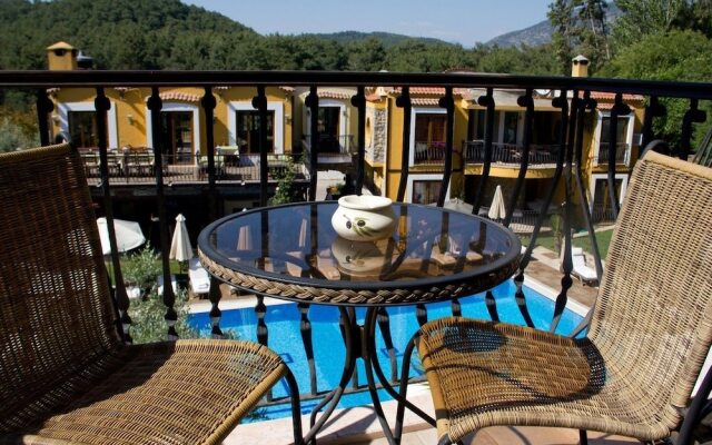 The Olive Tree Studios - Adults Only