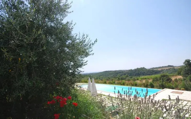 Lavanda