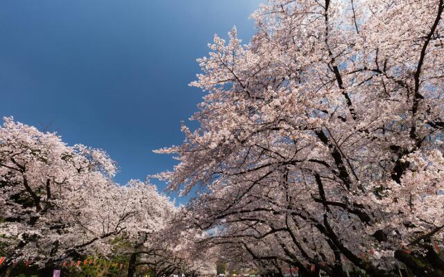 HOTEL Tokyo Trip Ueno Nishi Nippori