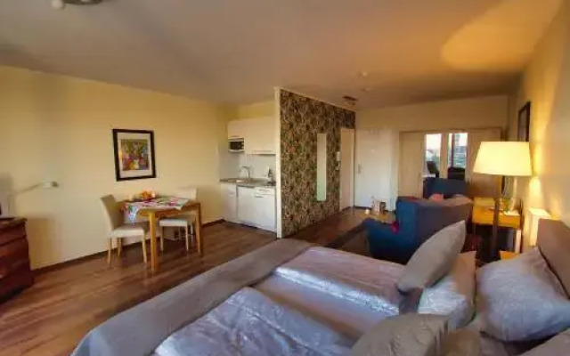 Altstadtapartment Mainz