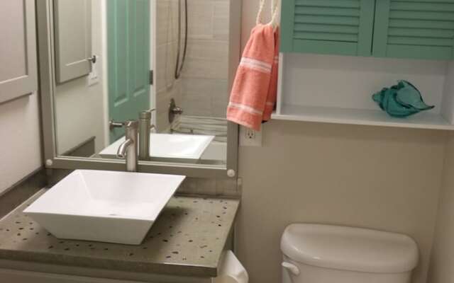 Sand Dollar by Surfside VR