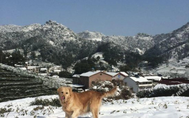 Xuanzhe Tea House Inn