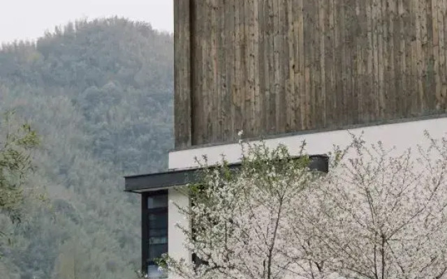 Translation: Tingjian · Moganshan | Forest Oxygen Private Hot Spring Resort Homestay