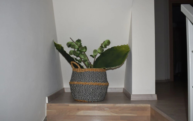 Gallery Art Villa