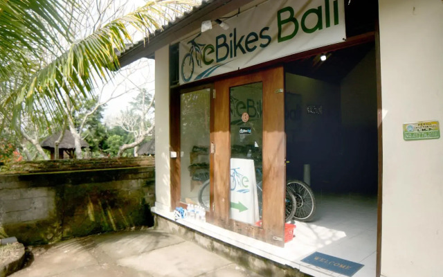 Artist Eco Villa With Wood And Clay