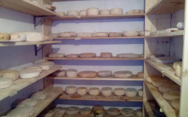 Agriturismo I due Falcetti