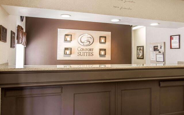 Comfort Suites Peoria Sports Complex