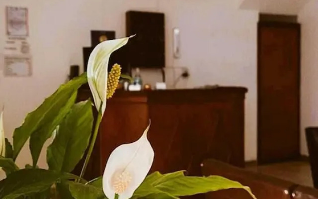 Hostal Tilian