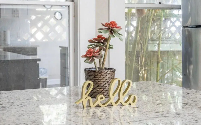 South Tampa Apartments