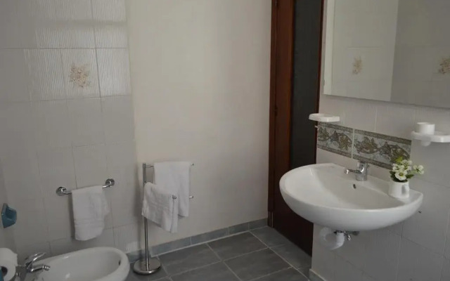 B&B Avinedda