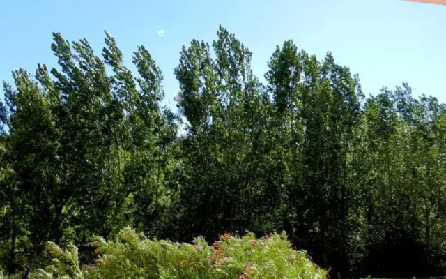La Cascadelle