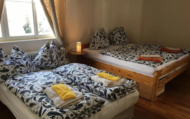 Forest Home Untertal