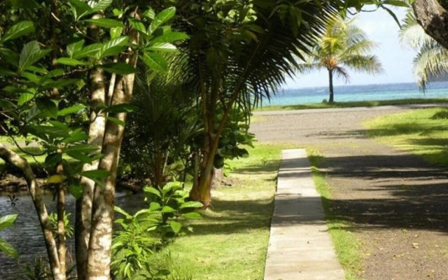 Pacific Treelodge Resort