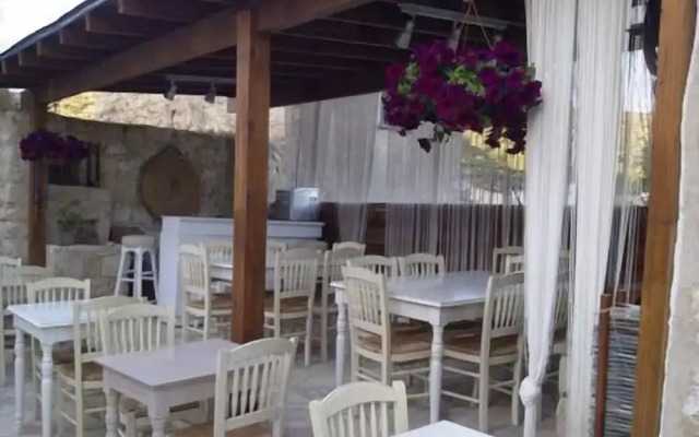 Avalon Village Houses