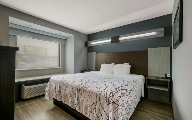 SureStay Plus Hotel by Best Western Sevierville