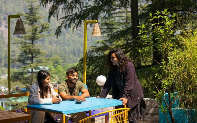 goSTOPS Kasol