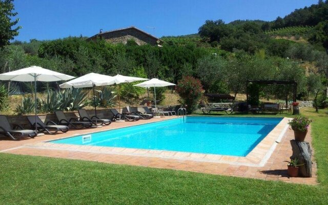 Agriturismo Poggio all'Olmo