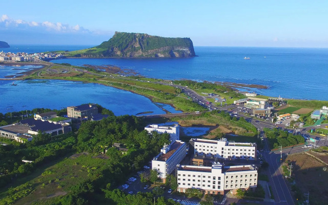 Playce Camp Jeju