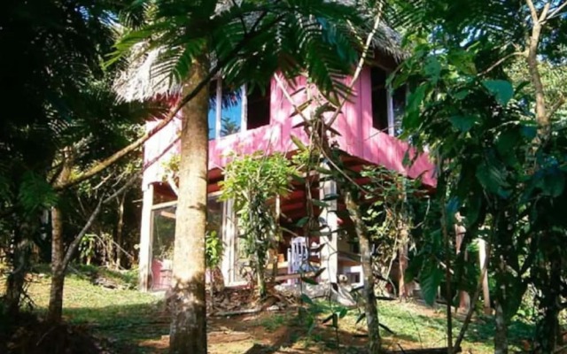 Vanilla Jungle Lodge - Bed & Breakfast