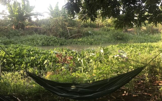Dan Sinh Homestay