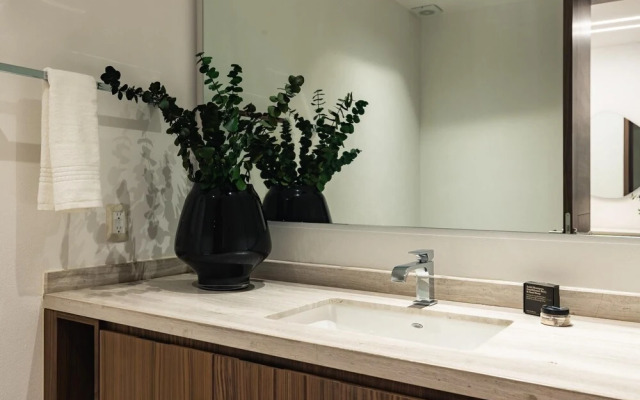 Casai Polanco 2 BR 2BA Sophisticated Suite