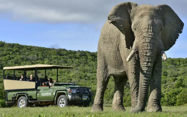Shamwari Sarili Lodge - фото 5