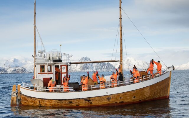 Rorbuene Svolvær Havn