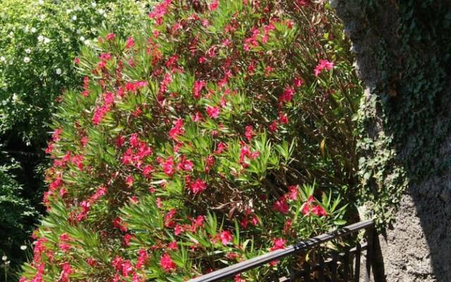 Relais San Filippo In Sogaglia