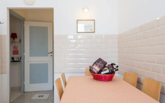 RSH Vatican Comfortable Sunny Apartment