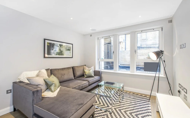 Lux St James Park Apartment Central London FREE WIFI by City Stay Aparts London