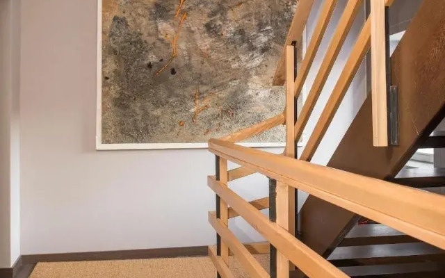 Boutique Rooms Mirabilis