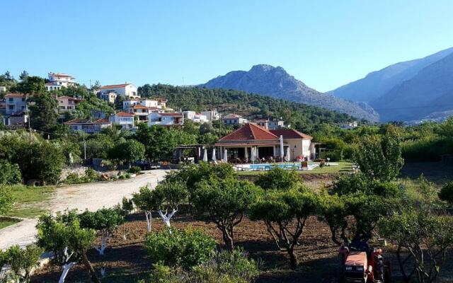 Agroktima