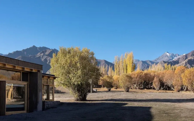 The Postcard in The Himalayan Willows