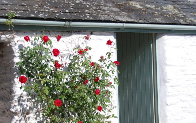 Trenderway Farm