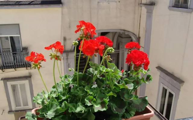 Terrazza dei Principi