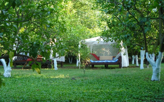 Myland Nature