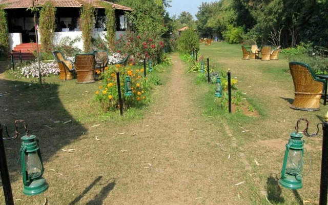Jungle View Resort