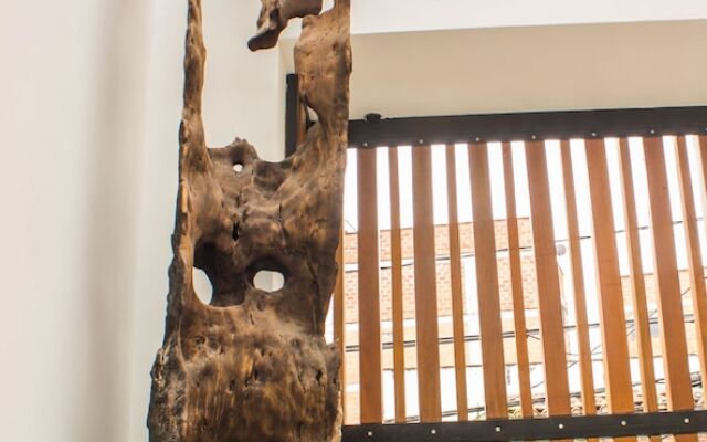 Hotel Laureles Loft